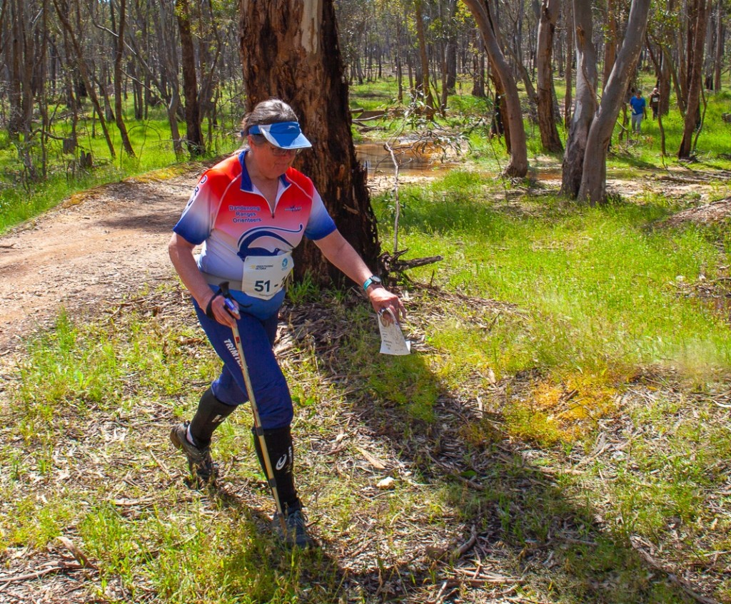 20221023-mg-8650-dandenong-ranges-orienteering-club